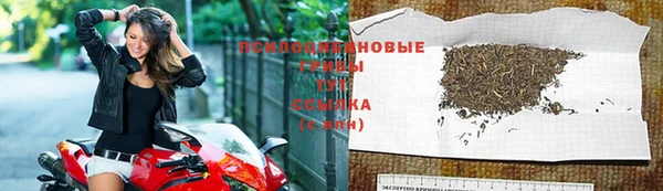 хмурый Алексеевка
