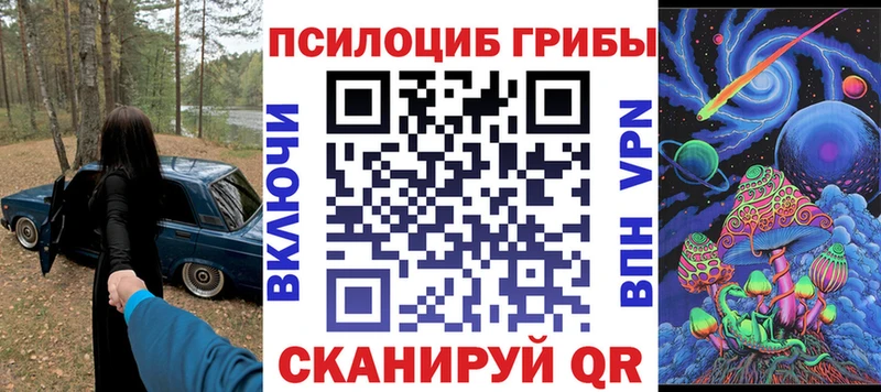 Псилоцибиновые грибы прущие грибы  закладки  Лесосибирск 